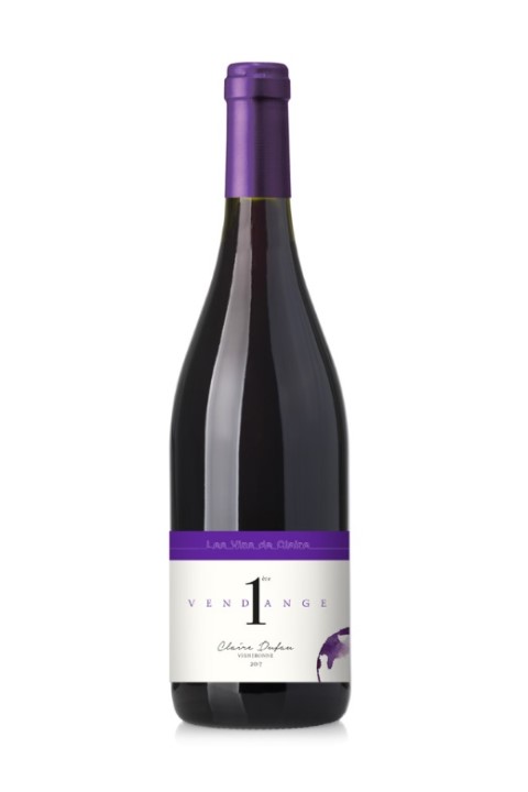 [CDUFAUSM1VR18] 2018 Saint-Mont '1ère Vendange' - Les Vins de Claire