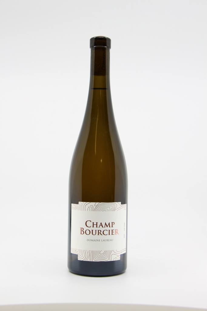 2019 Savennières 'Champ Bourcier' - Damien Laureau