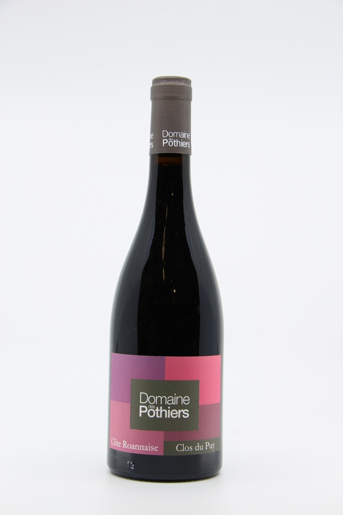2022 Côte Roannaise 'Clos du Puy ' - Domaine des Pothiers