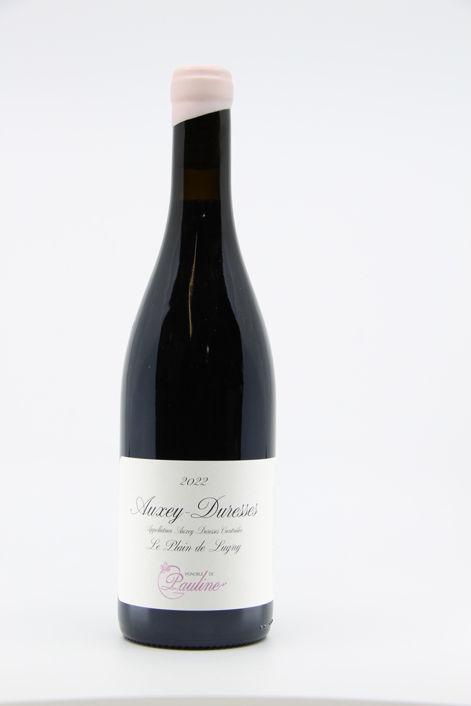 2022 Auxey Duresses "le Plain de Lugny" - Dom M. Truchetet  