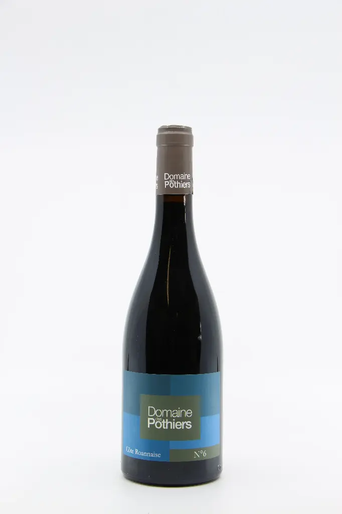 2022 Côte Roannaise 'N°6' - Domaine des Pothiers