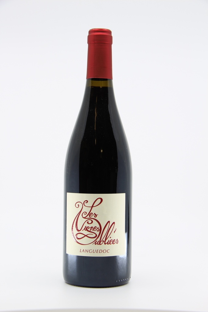 2023 Languedoc "Autour du Cinsault" - Les Vignes Oubliées   