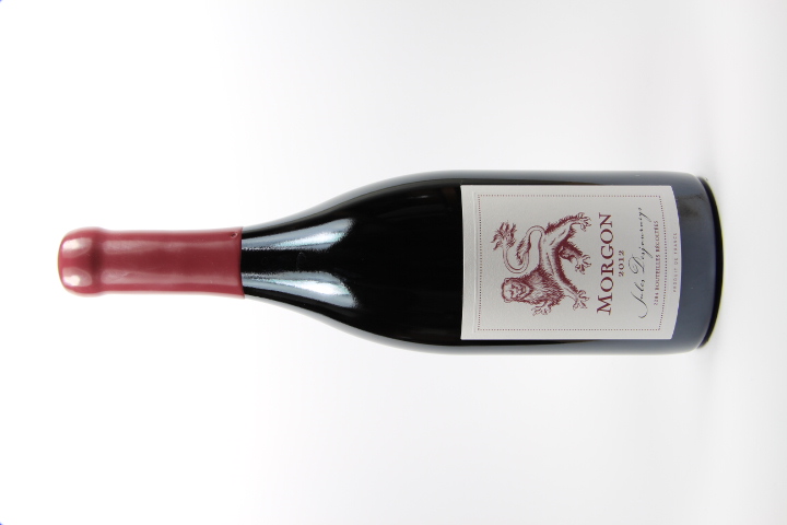 2019 Morgon 'Vieilles Vignes' - Domaine Jules Desjourneys