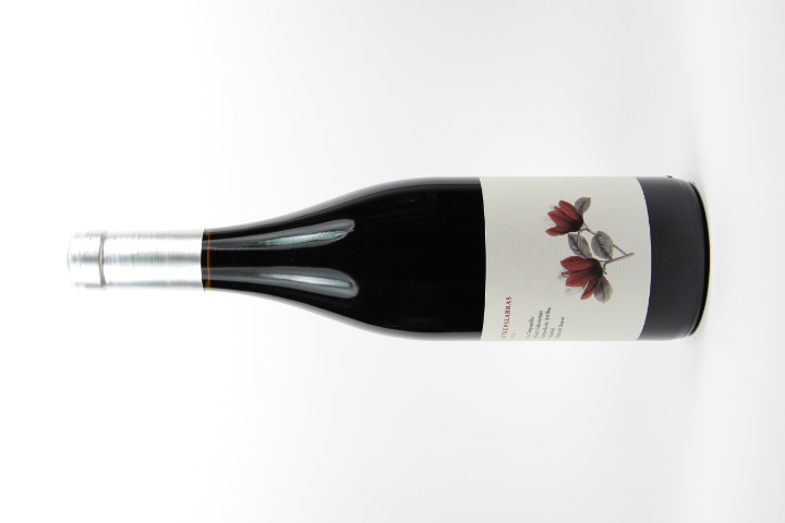 2022 Ribera del Duero 'Entre Palabres' - Valdemonjas Vinedos y Vinos