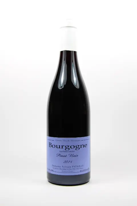 [PATAILLEBR23] 2023 Bourgogne Rouge - Sylvain Pataille