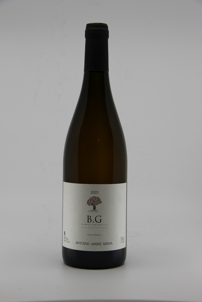 2021 VDF blanc "BG" - AM Arena