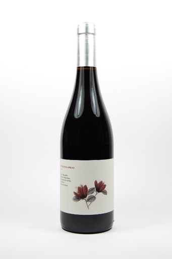 [VALDEMONJASEP22] 2022 Ribera del Duero 'Entre Palabres' - Valdemonjas Vinedos y Vinos