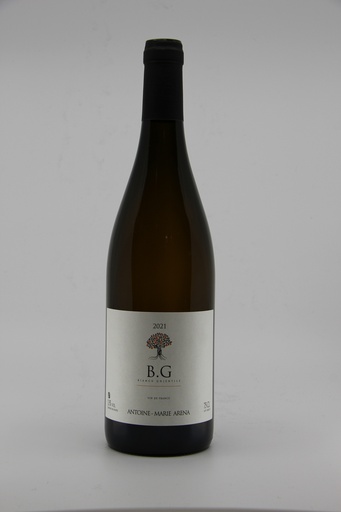 [ANTOINEMARIEARENAVDFBG21] 2021 VDF blanc "BG" - AM Arena