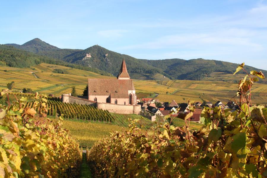 Le vin du mois – septembre 2017 : Domaine Mader à Hunawihr