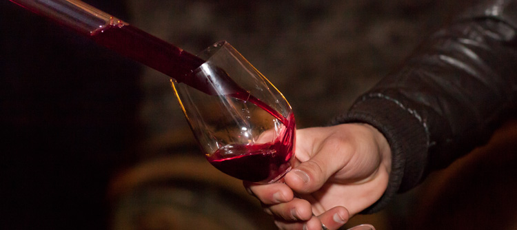 Dégustation de vins de Bourgogne | Samedi 9 novembre